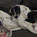 Debra Haigler - Facebook