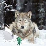 Debra Huggler - @hugglerdebra.1959 - Instagram