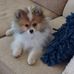 Debra Hull - Facebook