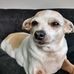 Debbie Hulse - Facebook