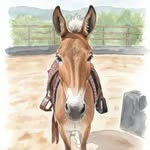 Debra Besett-Fuller Bugsys Human - @bugsytheminimule - Instagram