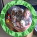 Debbie Humbles - Facebook
