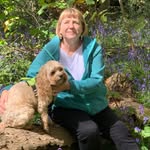 Deborah Hume - @dh.puppy.walker - Instagram