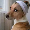 LadyCatherine - @debrainglendale - TikTok