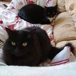 Debra Irving - @debra.irving72 - Instagram