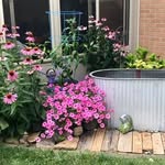 Debra Irwin - @meuret57 - Instagram