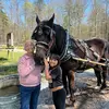 Debra Irwin - @debra.irwin7 - TikTok