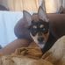 Deborah Isbell - Facebook