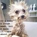 Debra Isbell - Facebook