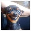 Debbie - @debraisbell551 - TikTok