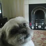 Debra Jarvis - @debramurphy1 - Instagram