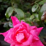 Debra Jarvis - @debra.jarvis.79 - Instagram