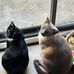 Deb Jerome - Facebook