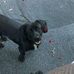 Deborah Joseph - Facebook