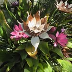 Debra Joy - @debra.brown.73700 - Instagram