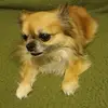 Debra Jupe - @huggybear336 - TikTok