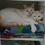 Debra Graf-Kane - @grafkane - Instagram