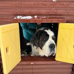 Debra Keating - @saintophile - Instagram