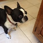 Deborah Knipp - @knippdeborah - Instagram