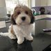 Debbie Knudson - Facebook