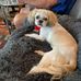 Debra Korbelik - Facebook