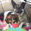 Debra A Kovach - @debraakovach - TikTok