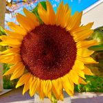 Debra Kovach - @d_a_k57 - Instagram