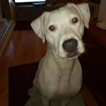 Debra Kropp - @puffgranny05 - Instagram