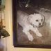 Debra Cruse - Facebook