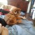 Debra Kummer - Facebook
