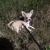 Debra Kummer - @debra.kummer - TikTok