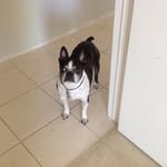 Debbie Kurtz - @debrakurtz3 - Instagram