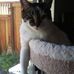 Debra LaBarbera - Facebook