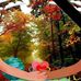 Debra Labrie - Facebook
