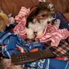 debralacey469 - @debralacey469 - TikTok