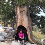 Debra Lacy - @lacydebra - Instagram