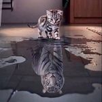 Debra Ladd - @debra_ladd - Instagram