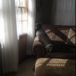 Debra Ladd Bush - @dabdal - Instagram