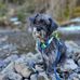 Debra Lake - Facebook
