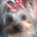 Deborah Laliberte - Facebook
