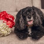 Debra Lambrecht - @dlambrecht59 - Instagram