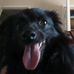 Debbie Raab Lamm - Facebook