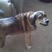 Debra Lamm - Facebook