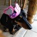 Debra Sue Lamm - Facebook