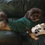 Debra Lamp Murray - @murraydebra - Instagram