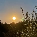 Debra Lampert - @debralampert - Instagram