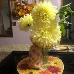 Debra Lance - @lancedebra - Instagram