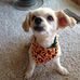 Debra Lance - Facebook