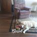 Deb Langan - Facebook