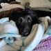 Deborah Langan - Facebook